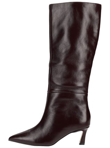Steve Madden Stiefel LAVAN in Wine