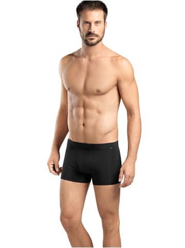 Hanro 2er-Pack Retro Boxershorts Cotton Essentials in Schwarz