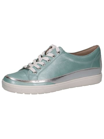 Caprice Sneaker in TURQUOISE NAPL