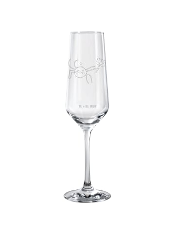 Mr. & Mrs. Panda Sektglas Spinne Agathe Motivation ohne Spruch in Transparent