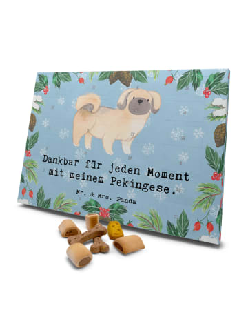 Mr. & Mrs. Panda Hund Adventskalender Pekingese Moment mit Spruch in Eisblau