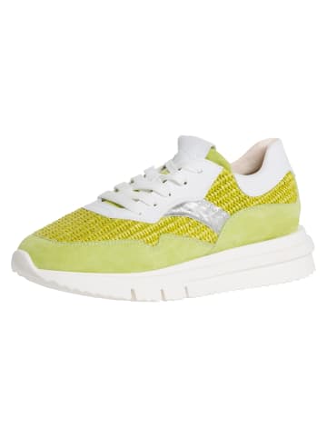 Tamaris Sneaker in LIME
