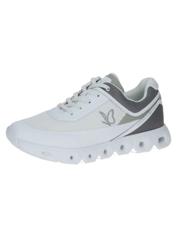 Caprice Schnürschuhe in offwhite comb