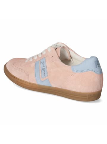 Paul Green Schnürhalbschuh in rosa