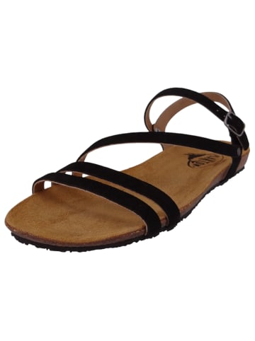 Plakton Sandalen schwarz
