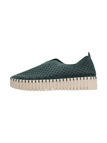 Ilse Jacobsen Sneaker TULIP3373 in Beetle