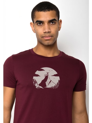 GreenBomb Guide Nature Clouds Ride in Samt Regen