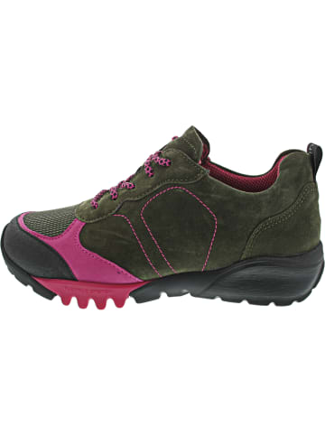 WALDLÄUFER H-Amiata Schnürer Grün