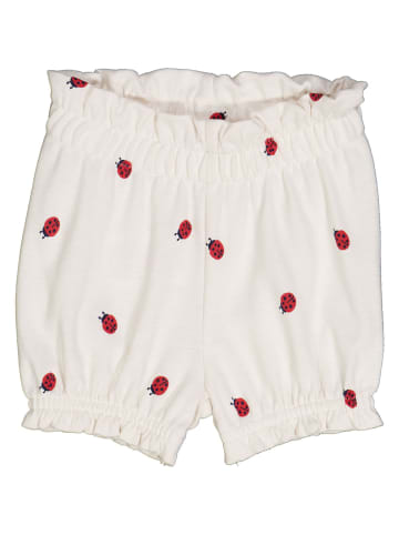 müsli Babyshorts in cream/red/blue