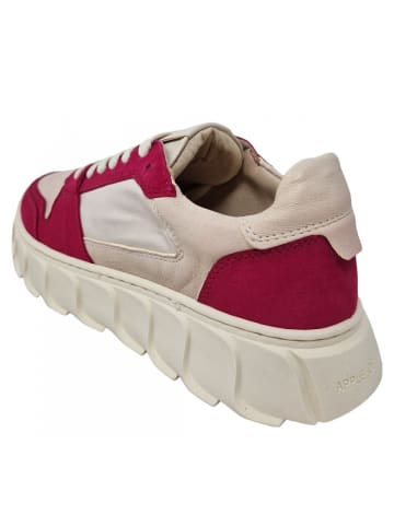 Apple of Eden Sneaker  in Pink