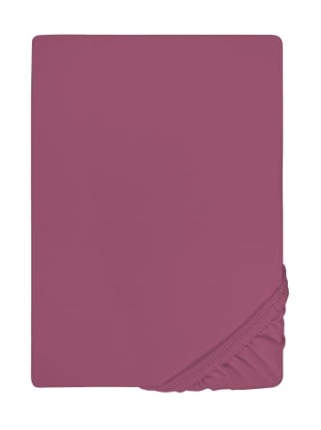 Biberna Spannbetttuch Jersey-Elastic in brombeer
