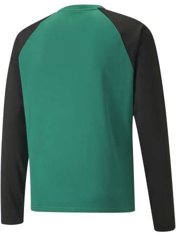 Puma Pullover "TeamLIGA Training Sweat" in Grün