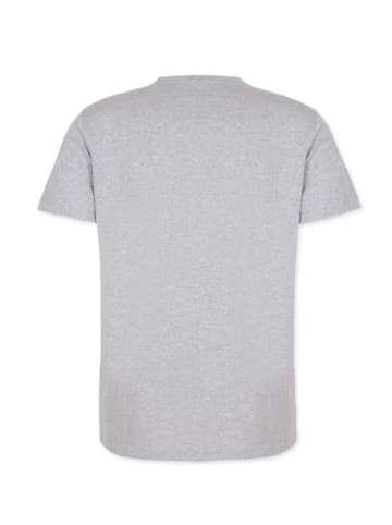 HONESTY RULES T-Shirt " Basic " in grey-mel