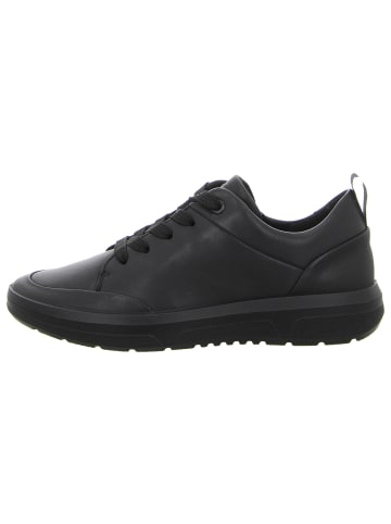 Ara Shoes Schnürschuhe ROMA in schwarz
