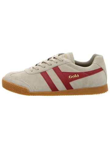 Gola Sneaker Low in grau