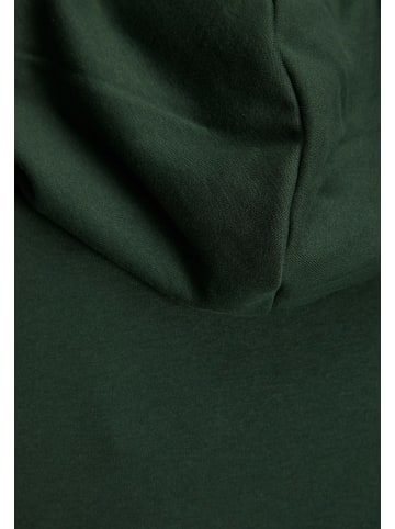 Jack & Jones Hoodie 'Stein' in dunkelgrün