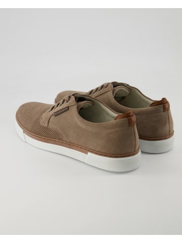 Pius Gabor Sneaker low in Beige