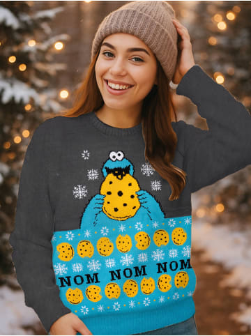 Sesamstraße Sesamstraße Winterpullover - Krümelmonster in grau
