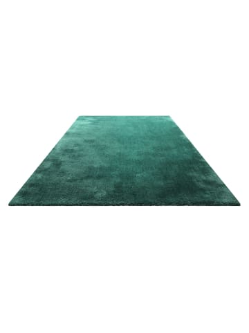 Teppich "Pisa" in Smaragd Grün