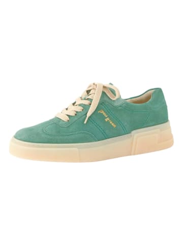 Paul Green Sneaker in Hellgrün