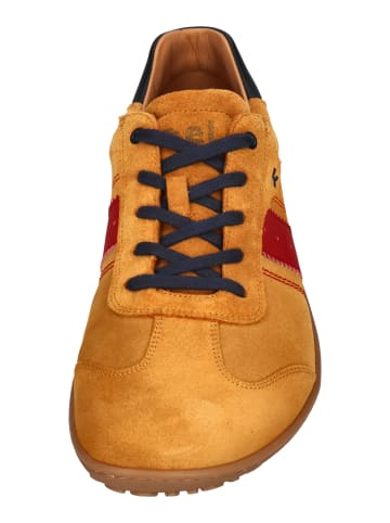 KOEL Sneaker Low ILO SUEDE 3.0 in braun