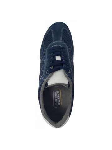 Camel Active sportlicher Schnürer  in Blau