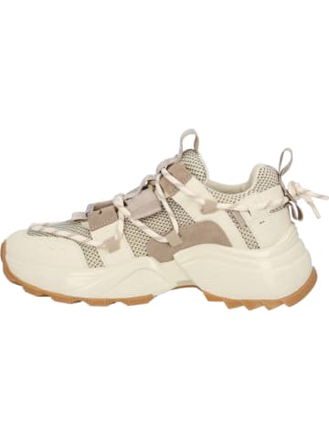 Steve Madden Schnürschuhe in Beige