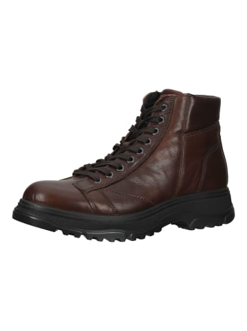 Igi&Co Stiefelette in Braun