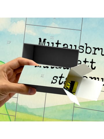 Mr. & Mrs. Panda Adventskalender Zum Befüllen Schildkröte Luftba... in Weiß