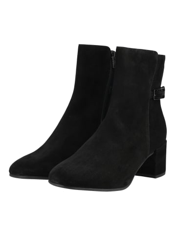 Högl Stiefelette in Schwarz