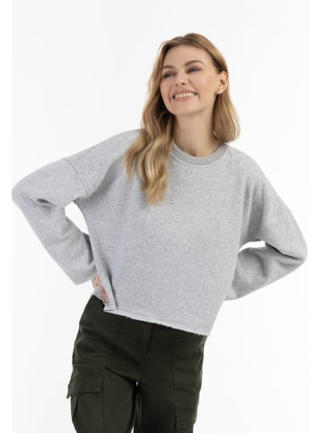 DreiMaster Vintage Damen Oversize Sweatshirt in Hellgrau Melange