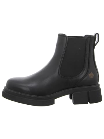 Apple of Eden Klassische Stiefelette in schwarz