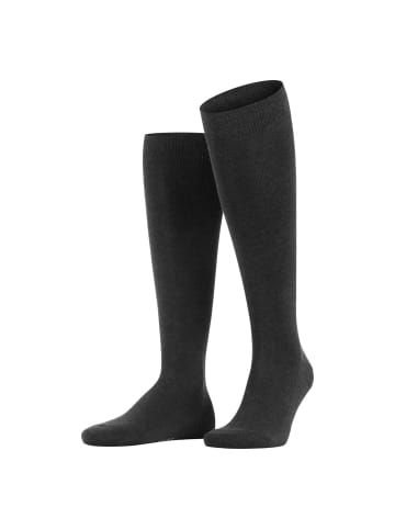 Falke Socken 2er Pack in Anthrazit