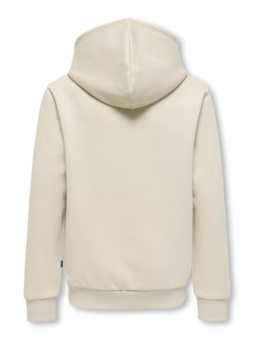 ONLY & SONS Junior Kapuzenpullover in Silver Lining