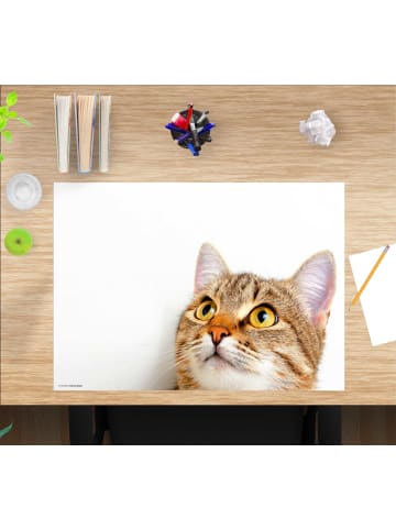 cover-your-desk.de  Schreibtischunterlage "Katzenblick Muster" in Weiß (L)60 x (B)40