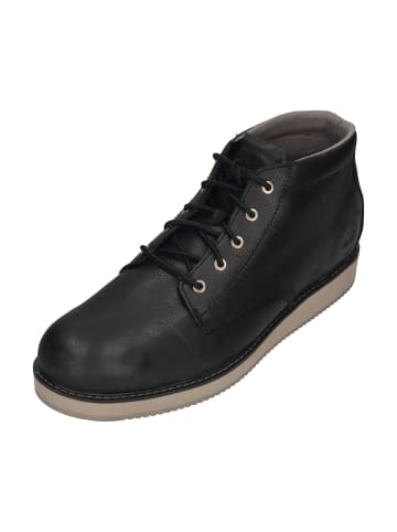 Timberland Stiefel REDWOOD EDGE MID LACE CHUKKA  in schwarz