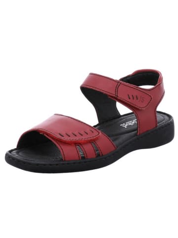 Josef Seibel Sandalen  in Rot