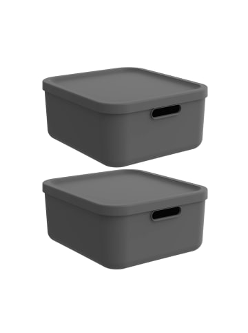 Rotho Albula Light 2er-Set Aufbewahrungskiste 20l in Anthrazit