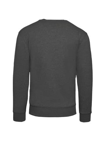 Alpha Industries Sweatshirt Basic Sweater in grau