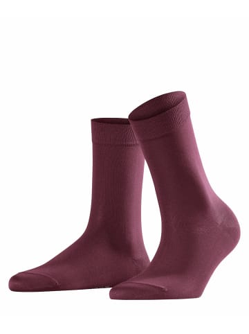 Falke Socken Cotton Touch in Plum pie