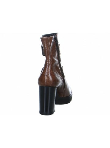 Paul Green Stiefeletten für Damen in braun