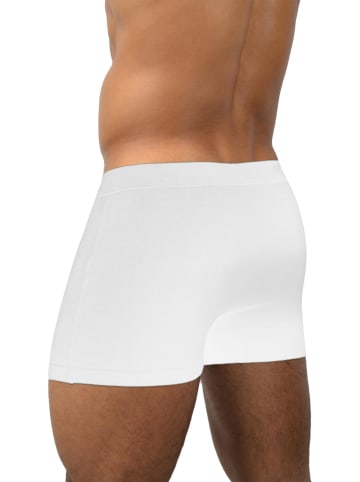 normani 6 Stück Retro Boxershorts aus Baumwolle in Basic White