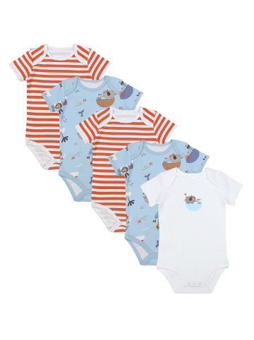Schlummersack Bio Baby-Bodys kurzarm 5er-Pack in Hellblau-Rot
