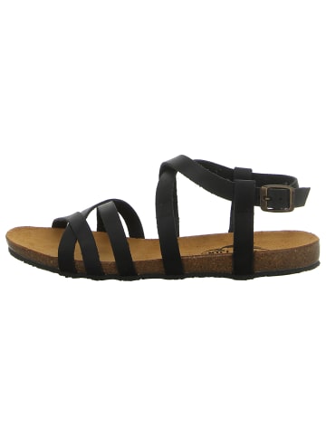 Plakton Sandale in schwarz
