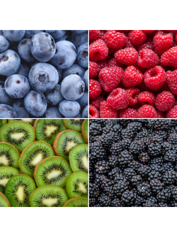 NatureNest 4er: Set Bio Obstpflanzen Sommerfrüchte in MIx