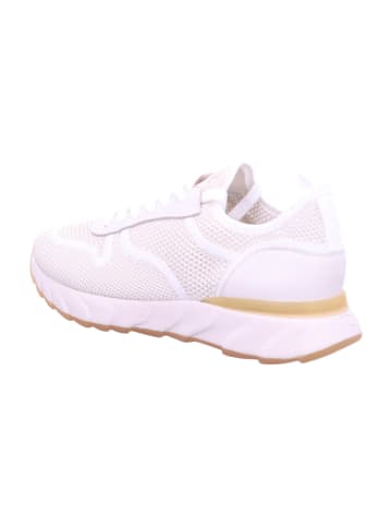 Paul Green Sneaker Low in beige