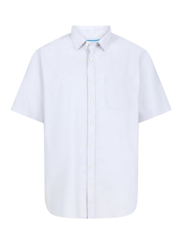Paddock's Langarmshirt Shirt, short sleeve in light grey