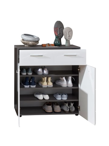 ebuy24 Schuhschrank LineGD Silber 80 x 35 cm