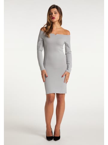 faina Kleid in Grau