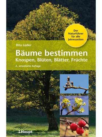 Haupt Bäume bestimmen - Knospen, Blüten, Blätter, Früchte